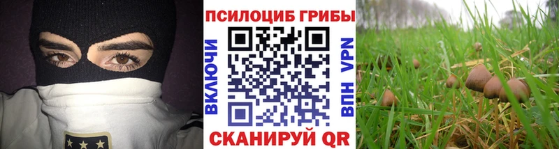 Купить закладки Подпорожье Галлюциногенные грибы Magic Shrooms